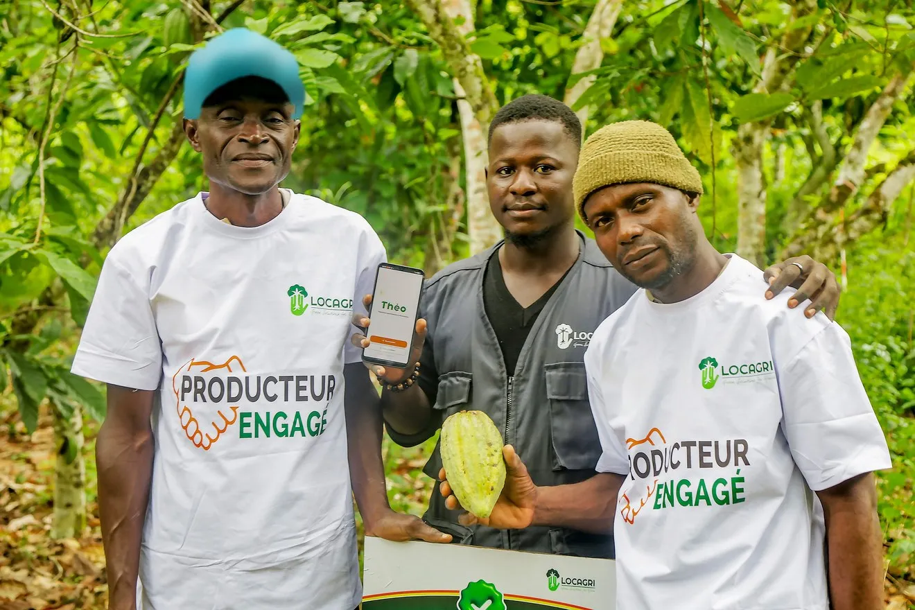 Deux producteurs et un technicien de LOCAGRI dans une cacaoyère, avec l’application Theo ouverte sur un téléphone et une cabosse de cacao