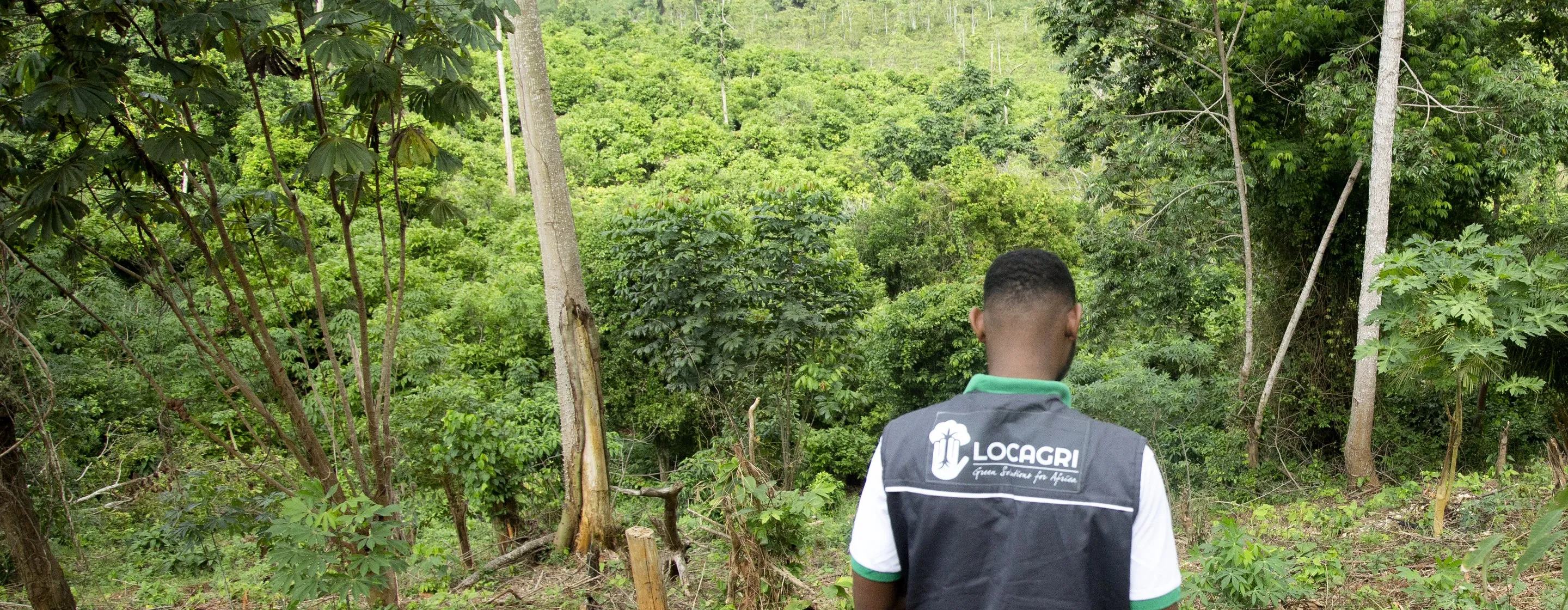 Un technicien de LOCAGRI, de dos, face à une parcelle boisée