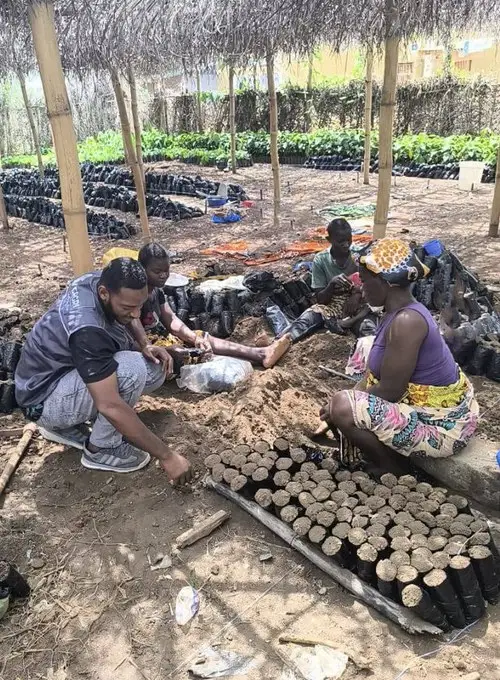 Nursery team filling bags with soil