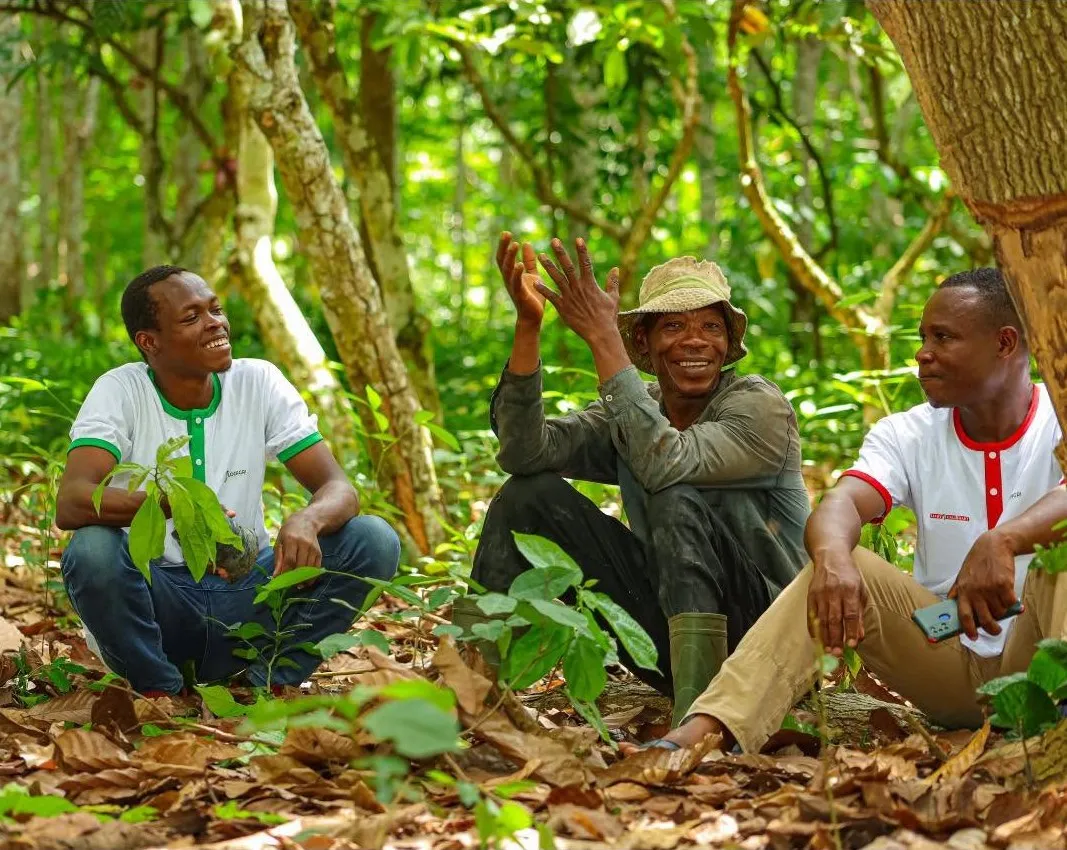 Trois hommes assis sous le couvert d’une forêt en régénération