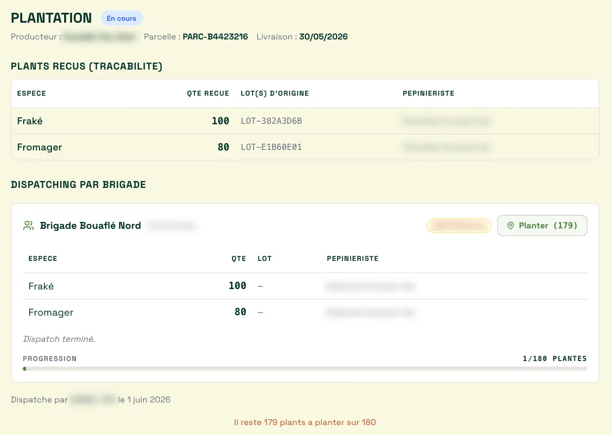 Planting record in Theo: seedlings received with their source batch, breakdown by planting crew and progress